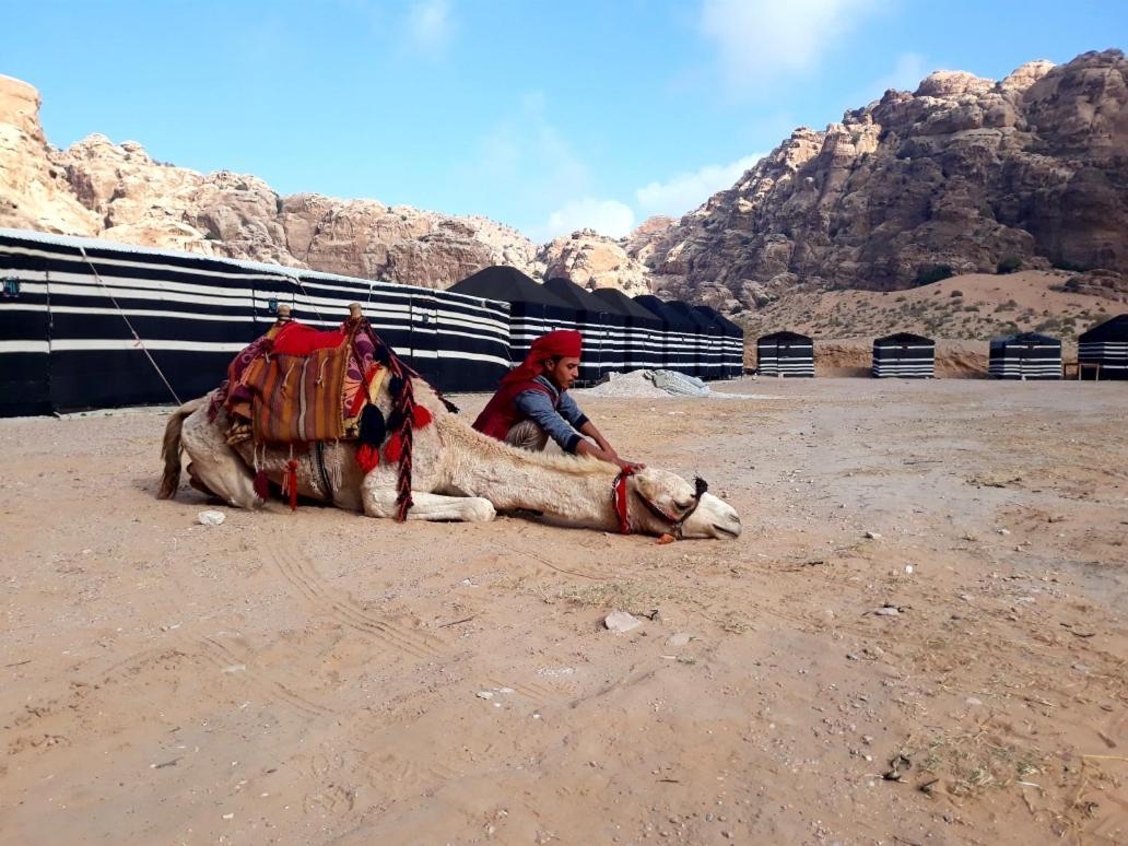 Ammarin Bedouin Camp Hotel Wadi Musa Luaran gambar