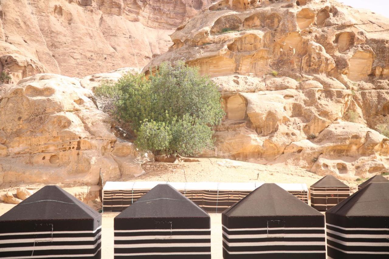 Ammarin Bedouin Camp Hotel Wadi Musa Luaran gambar